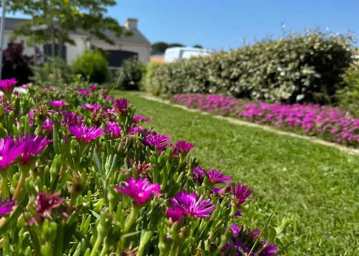 Résidence Du Moulin Girard Hébergement de vacances Jard-sur-Mer
